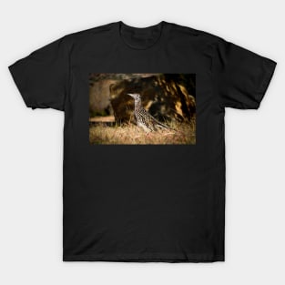 Roadrunner T-Shirt